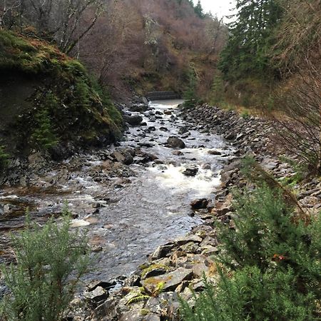 Treetops Bungalow Loch Ness 德拉姆纳德罗希特 外观 照片