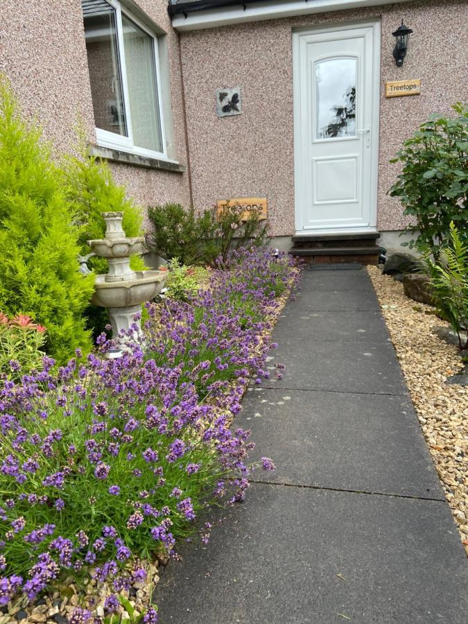 Treetops Bungalow Loch Ness 德拉姆纳德罗希特 外观 照片
